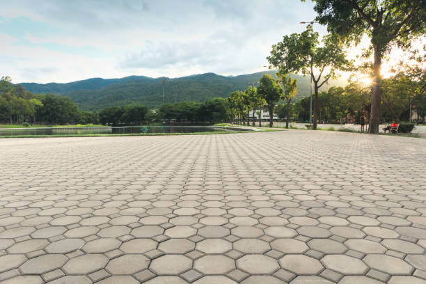 Best Brick Driveway Pavers  in Gaston, SC